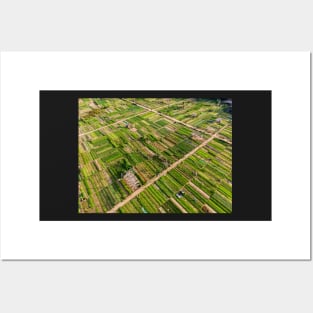 Vegetable village aerial view in Hoi An, Vietnam Posters and Art